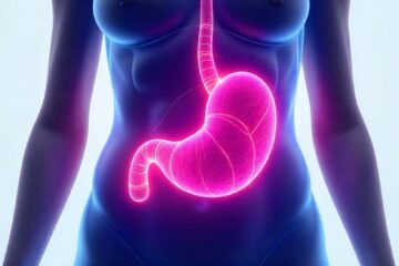 a human abdomen of a female with dark skin tone, highlighting the stomach organ in a semi-transparent view.