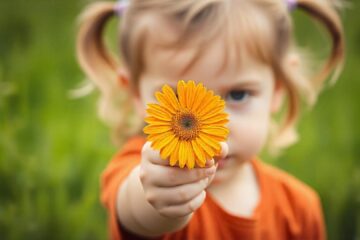 A young child with hair tied in small pigtails is holding an orange daisy flower toward the camera. The focus is entirely on the flower, with the child's face and background blurred. The setting appears to be an outdoor field or garden, with lush green grass in the background, creating a peaceful and serene atmosphere. The child's hands are visible as they gently grasp the flower, and the overall tone of the image is warm and natural.